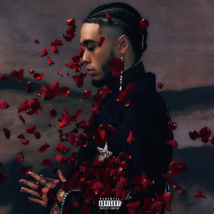 少妇熟女人妻高清无码精品免费视频
