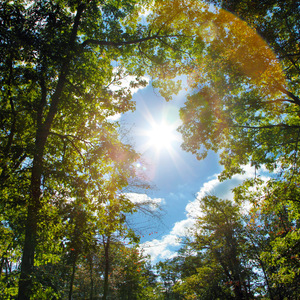 少妇熟女人妻高清无码精品免费视频
