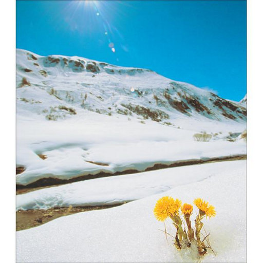 少妇熟女人妻高清无码精品免费视频
